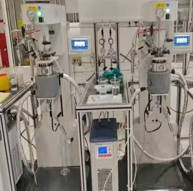 全自动平行高压反应釜