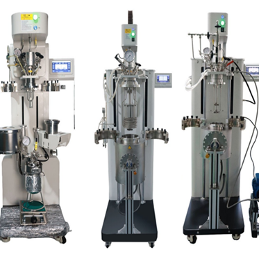 2升高温高压机械搅拌反应釜